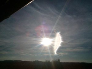 11693910_1645309472407673_7874858139989406858_n